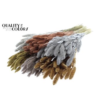 QC Setaria per bunch Mixed colours Metallic ( x 6 )