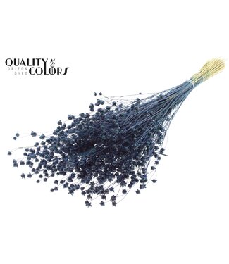 QC Lino Vlas p/bunch in poly Dark Blue | Per 6 stuks