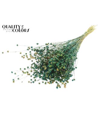 QC Lino Vlas p/bunch in poly Multicolour Green | Per 6 stuks