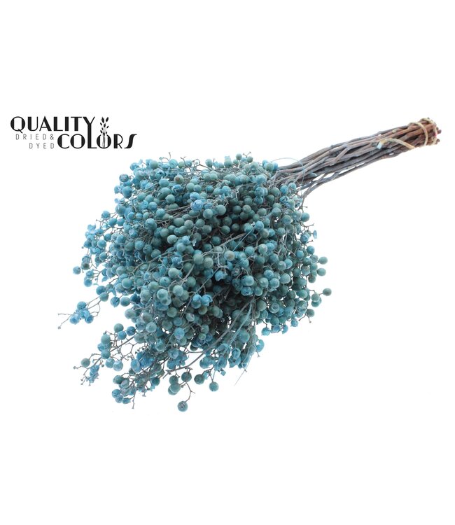 Pepperberries per bunch in poly Light Blue ( x 5 )