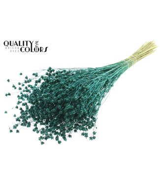 QC Lino Vlas p/bunch in poly Turquoise | Per 6 stuks