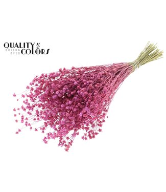 QC Lino Vlas p/bunch in poly Frosted Cerise | Per 6 stuks