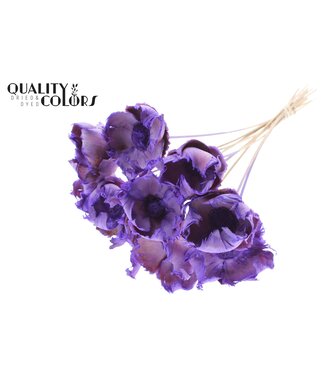 QC Palm cup on stem Intense Frosted Milka ( x 50 )