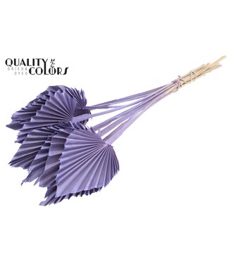 QC Getrocknete Palm Spear | Milka-lila Palmblätter in Speerform | Pro 50 Stück