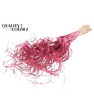 QC Palm Curly TT 3pc/tuft - 33 tuft/bunch Cerise ( x 5 )