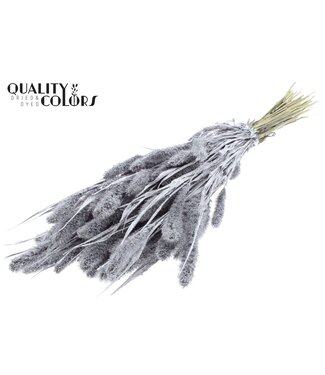 QC Setaria per bunch Silver + Glitter ( x 6 )