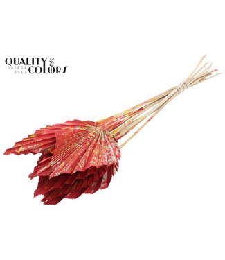 QC Getrocknete Palm Spear | Rote Mix Palmblätter in Speerform | Pro 50 Stück
