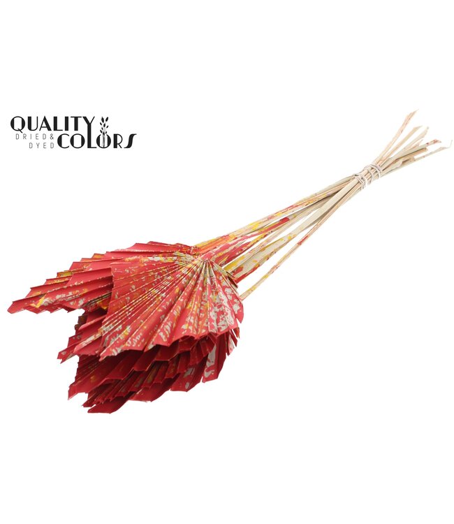 Getrocknete Palm Spear | Rote Mix Palmblätter in Speerform | Pro 50 Stück zu bestellen