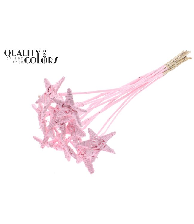 Lata Star on stem Covered Light Pink ( x 50 )