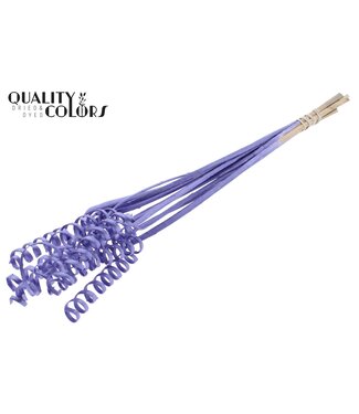 QC Cane Spring on stem Metallic Purple | Per 50 stuks
