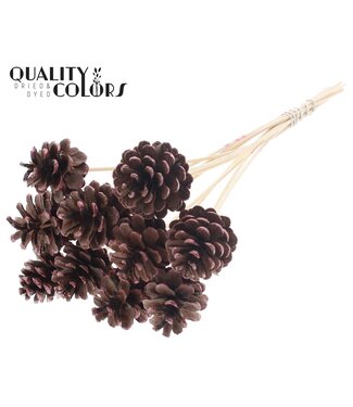 QC Pine cone 5-7cm on stem Metallic Red Tipped | Per 50 stuks