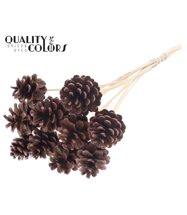 Pine cone 5-7cm on stem Metallic Red Tipped ( x 50 )