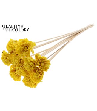 QC Shola Karnish Flower 6cm on stem Wax Yellow ( x 50 )
