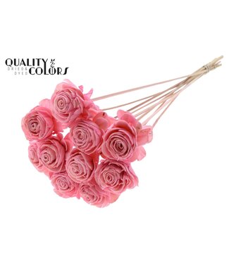QC Shola Beauty Rose 6cm on stem Light Pink ( x 50 )