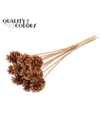 QC Pine cone 5-7cm on stem Antique Gold + Glitter ( x 50 )