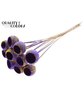 QC Bell Cup on stem Splashed Purple/Yellow ( x 50 )