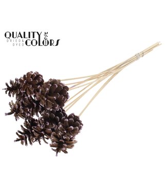 QC Pine cone 5-7cm on stem Metallic Pink Tipped | Per 50 stuks