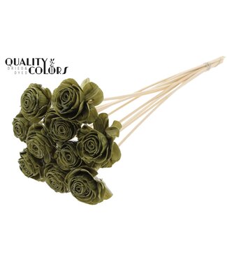 QC Shola Beauty Rose 6cm on stem Wax Olive ( x 50 )
