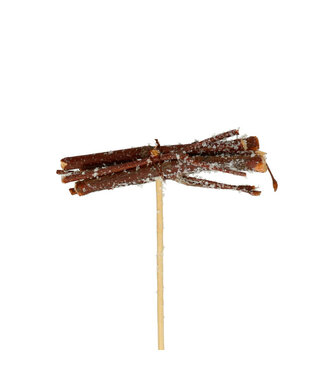 4A Bijsteker 50cm Willow 8cm | Per 25 stuks
