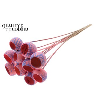 QC Bell Cup on stem Splashed Pink/Milka ( x 50 )