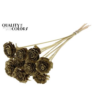 QC Cedar Rose on stem Gold | Per 50 stuks