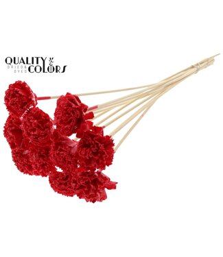 QC Shola Karnish Flower 6cm on stem Wax Red | Per 50 stuks