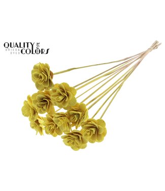 QC Beetal Rose 6cm on stem Yellow | Per 50 stuks