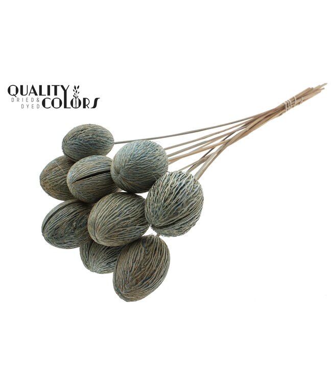 Mintola Ball on stem Intense Light Blue ( x 50 )