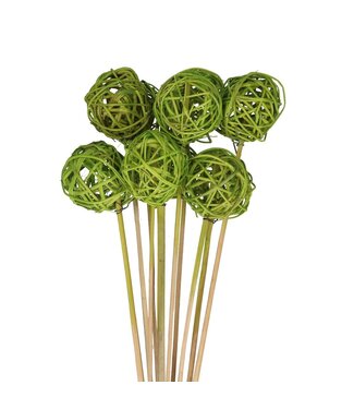 4A Bijsteker 50cm Brunchbal 5cm ( x 10 )