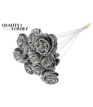 QC Shola Beauty Rose 6cm on stem Platina ( x 50 )