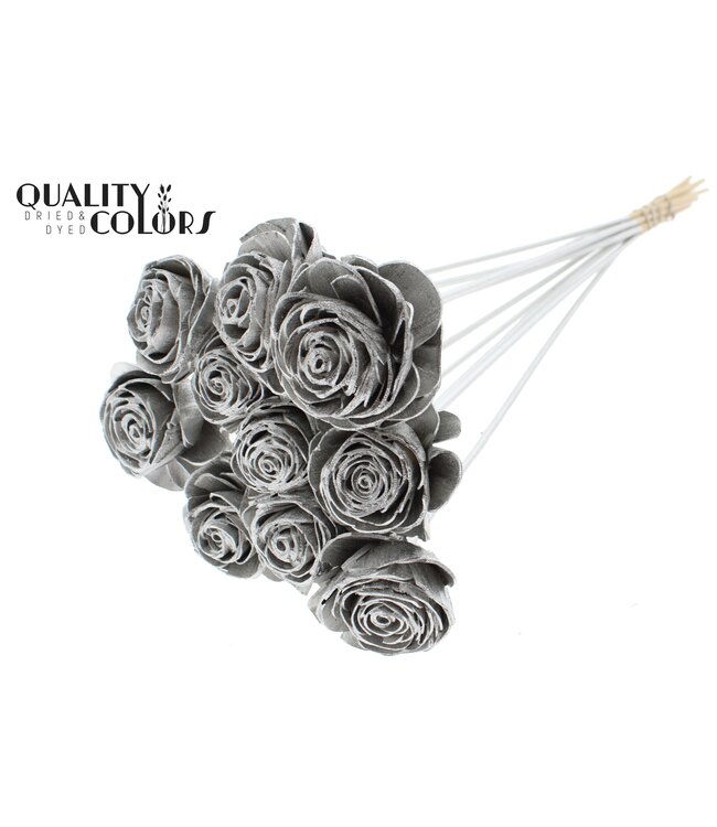 Shola Beauty Rose 6cm on stem Platina ( x 50 )