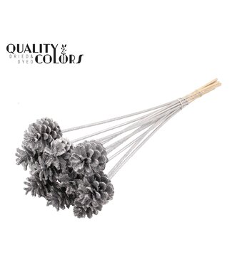 QC Pine cone 5-7cm on stem Silver + Glitter | Per 50 stuks