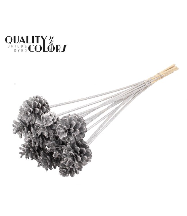 Pine cone 5-7cm on stem Silver + Glitter ( x 50 )