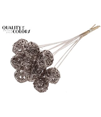 QC Bruce Ball 5cm on stem Champagne | Per 50 stuks