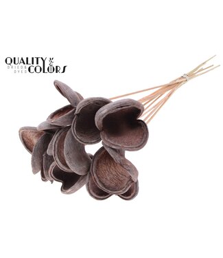 QC Badam on stem Frosted Salmon | Per 50 stuks