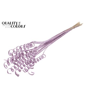 QC Cane Spring on stem Metallic Pink | Per 50 stuks