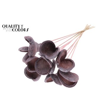 QC Badam on stem Frosted Light Pink | Per 50 stuks