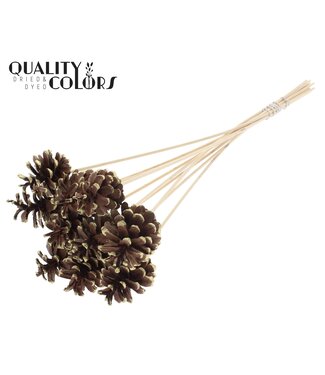 QC Pine cone 5-7cm on stem Gold Tipped | Per 50 stuks