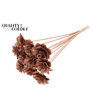QC Beetal Rose 6cm on stem Copper | Per 50 stuks