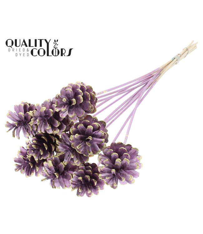 Pine cone 5-7cm on stem Metallic Pink + Gold Tipped ( x 50 )