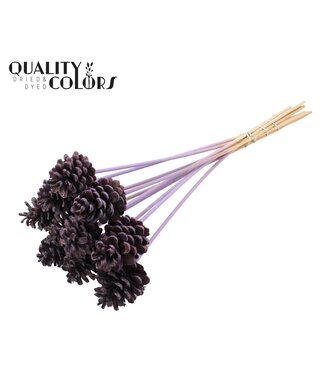 QC Pine cone 5-7cm on stem Frosted Milka | Per 50 stuks