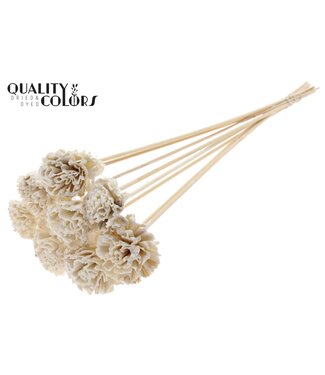 QC Shola Karnish Flower 6cm on stem Wax White | Per 50 stuks