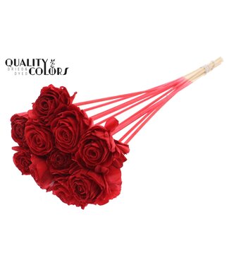 QC Shola Beauty Rose 6cm on stem Red | Per 50 stuks