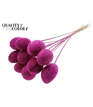 QC Mintola Ball on stem Intense Lilac | Per 50 stuks