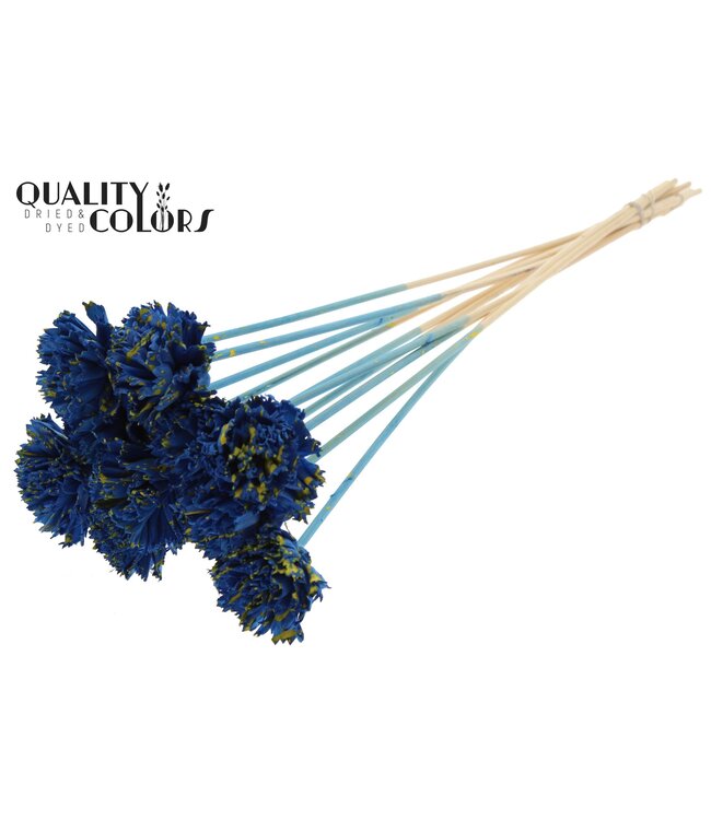 Shola Karnish Flower 6cm on stem Splashed Blue/Yellow ( x 50 )