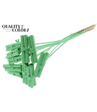 QC Jute Stick Posy on stem Covered Mint Green ( x 50 )