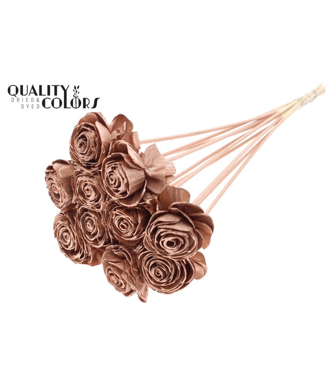 Shola Beauty Rose 6cm on stem Copper ( x 50 )
