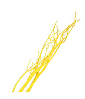 4A Mitsumata jaune branches séchées déco | Longueur 115 centimètres | 3 branches par bouquet | Par bouquet