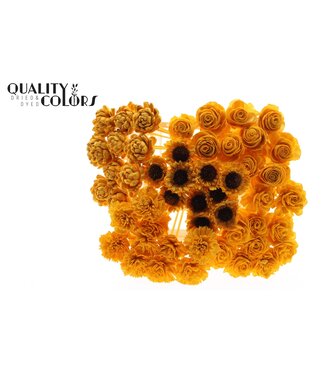 QC Shola Flower Mix on stem Apricot ( x 50 )