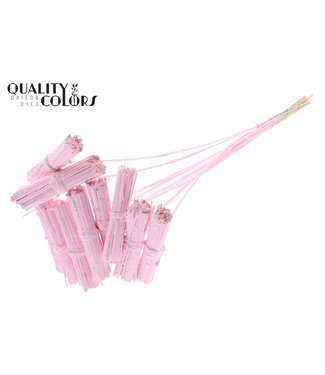 QC Kore Posy on stem Covered Light Pink | Per 50 stuks